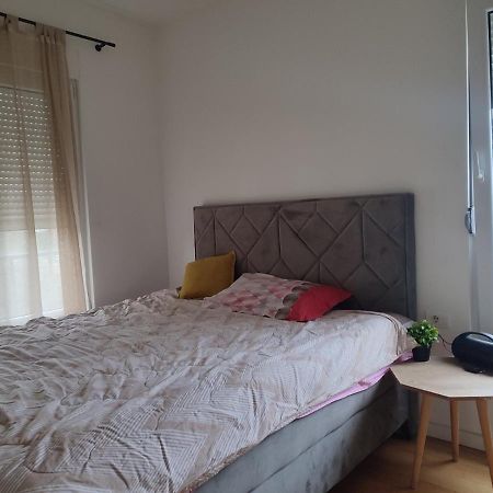 Ribnica Leilighet Podgorica Eksteriør bilde