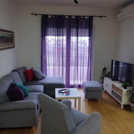 Ribnica Leilighet Podgorica Eksteriør bilde